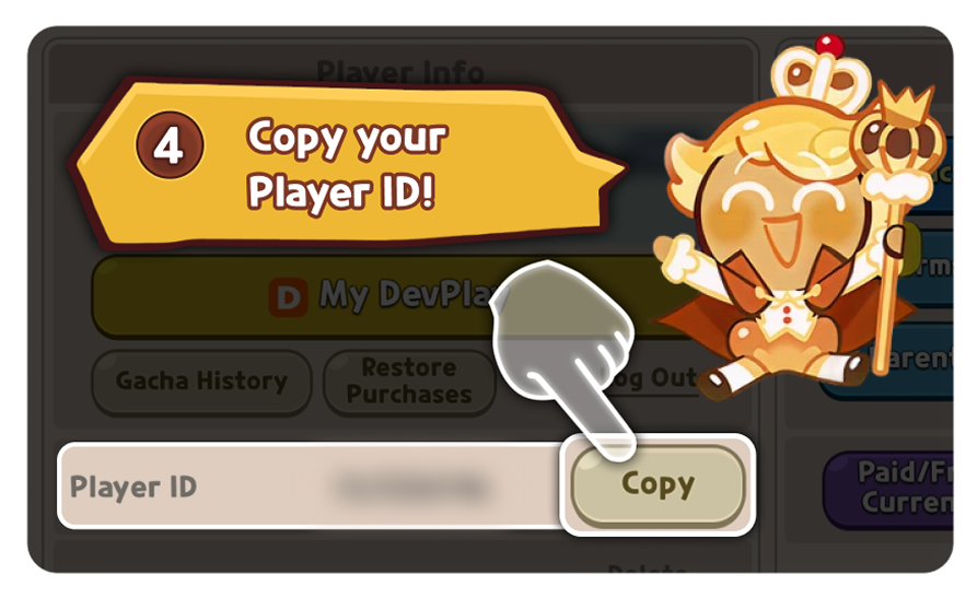 Copy or note the DevPlay account details for code redemption.